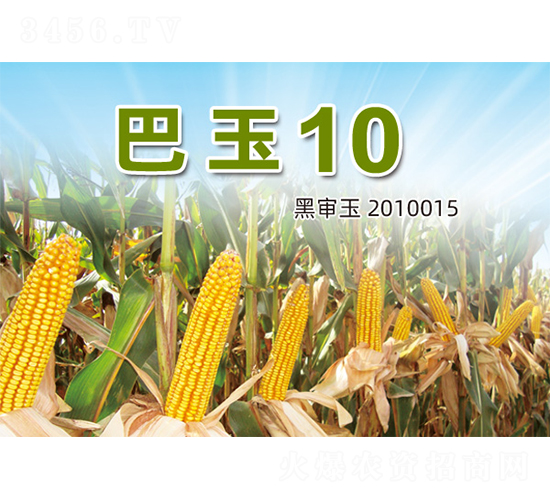 ����10-���׷N��-�����N�I(y��)