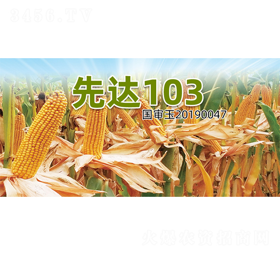 ���_(d��)103-���׷N��-�����N�I(y��)