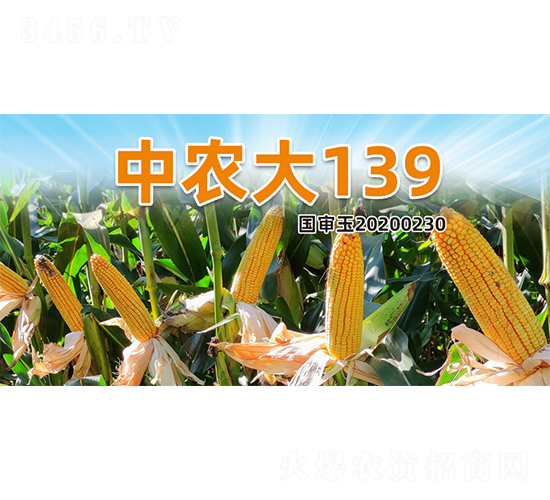 ���r(n��ng)��139-���׷N��-�����N�I(y��)