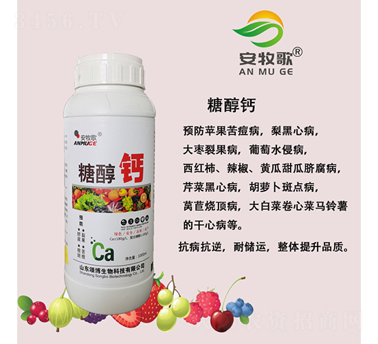 �Ǵ��}�~���-������-ힲ�����