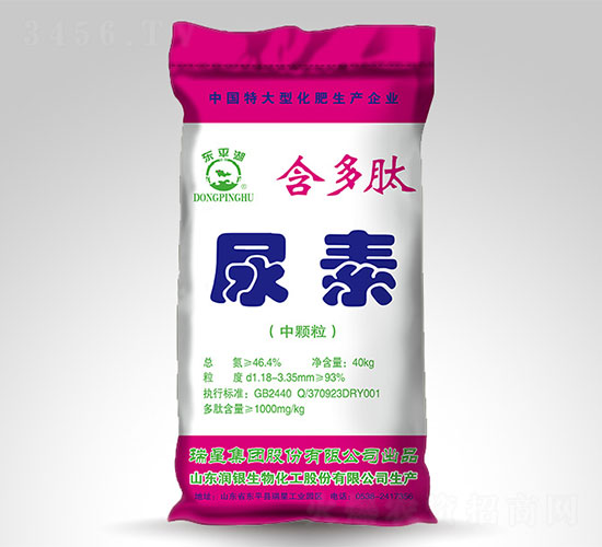 ����������-�|ƽ��-����