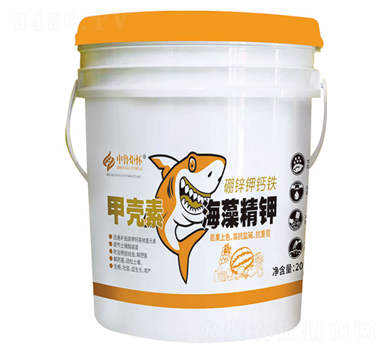 �ך��غ��徫�-ɽ�|�������