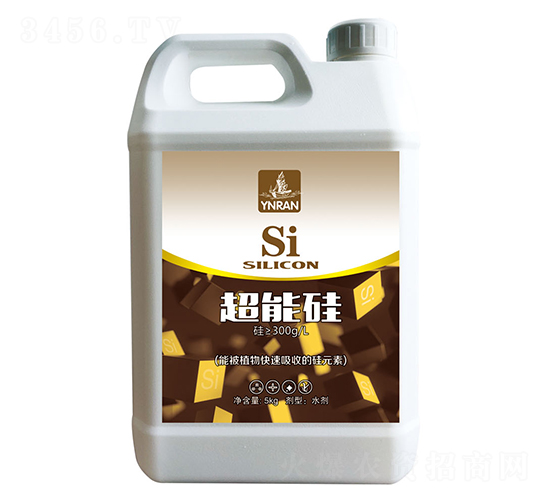 ���ܹ�-ɽ�|�������