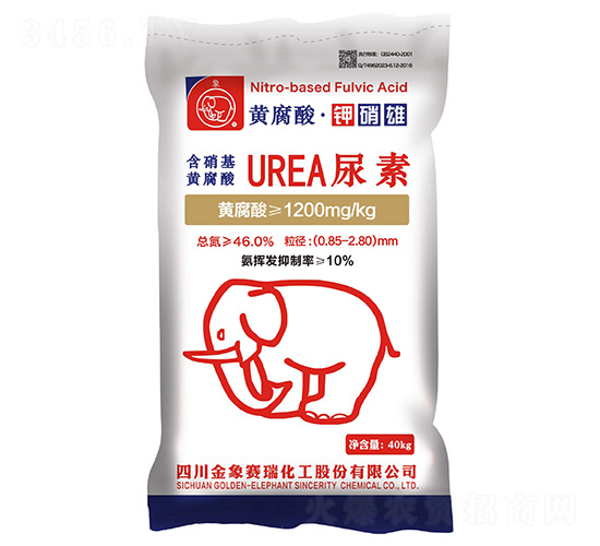 �������S��������-����ِ��