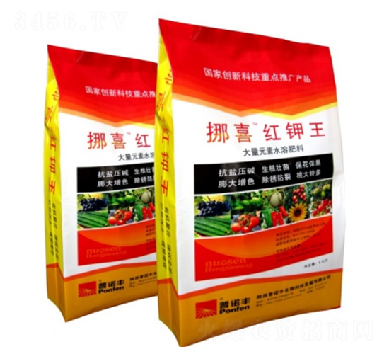 Ųϲ�t���-���Z�S