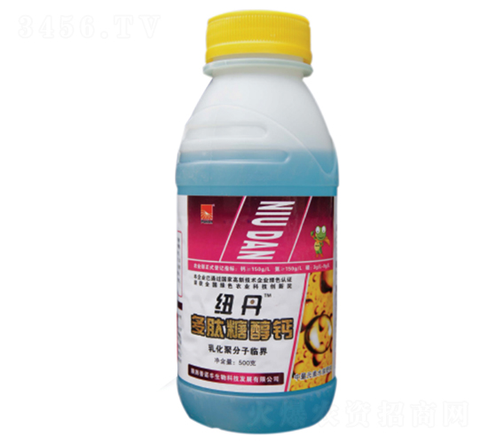 �����Ǵ��}-���Z�S