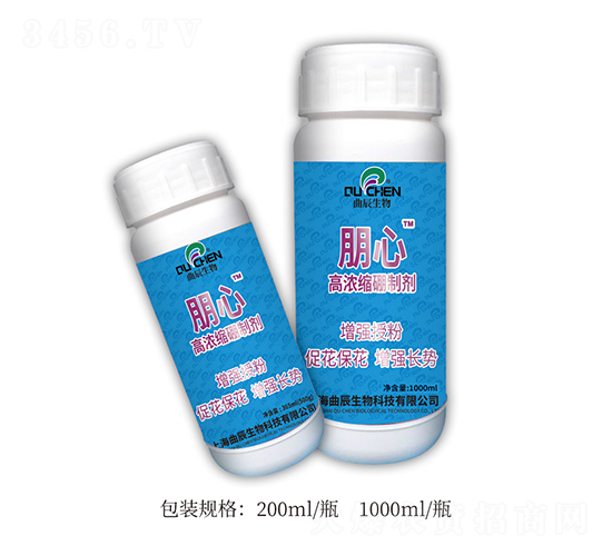 �ߝ�s���Ƅ�-����-��������