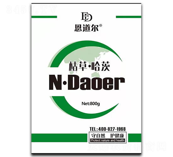 �ݲݡ�����-������