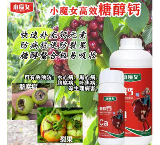 �Ǵ��}-СħŮ-���н�