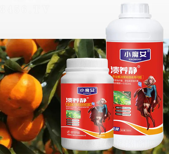 �����o-СħŮ-���н�