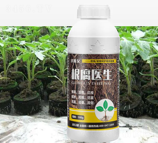 �����t(y��)��-СħŮ-���н�