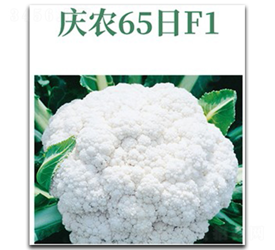 �c�r(n��ng)65��-��Ҭ�˷N��-���d