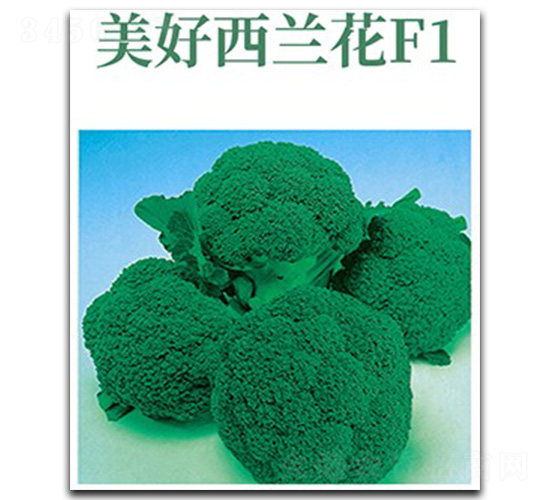 �������m��-���m���N��-���d