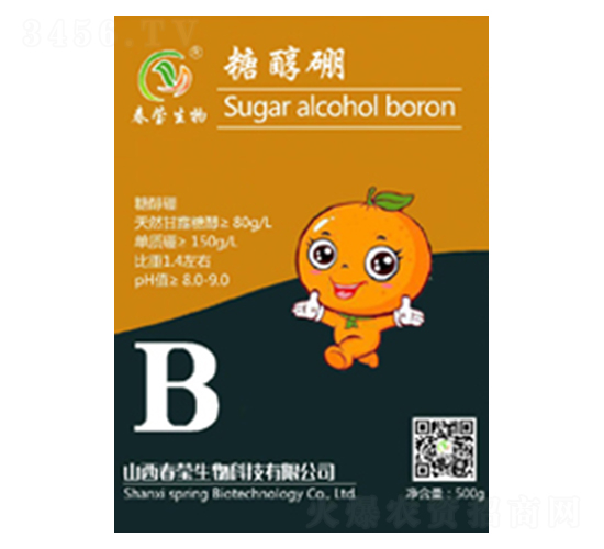 �Ǵ���-��������