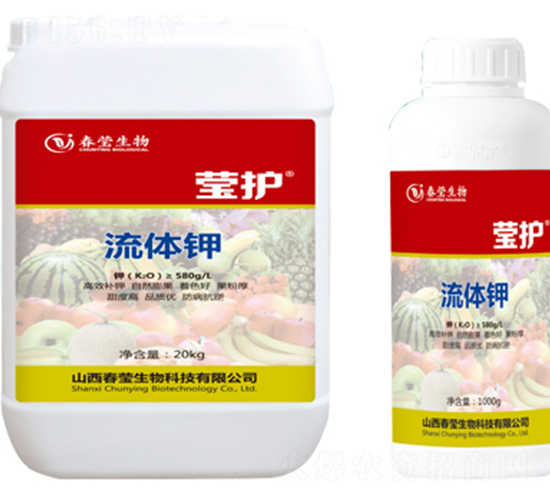 ���w�-���o-��������