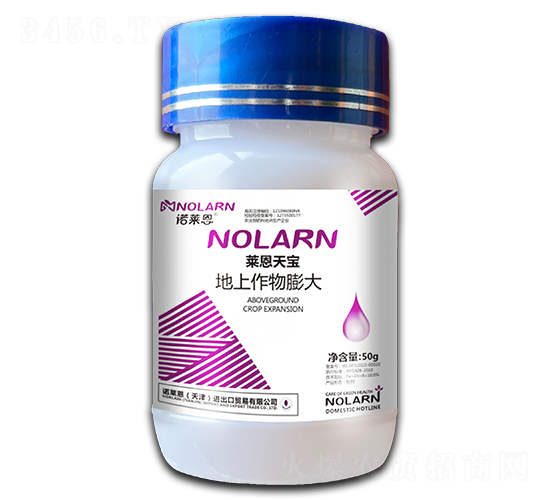 �R���쌚-�����������-�Z�R��