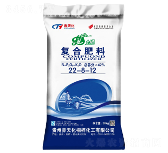 ���ȏ�(f��)�Ϸ���22-8-12-���컯