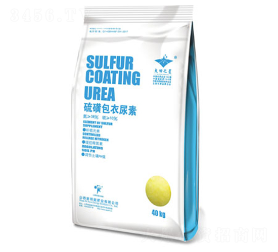 ��ǰ�������-�º���