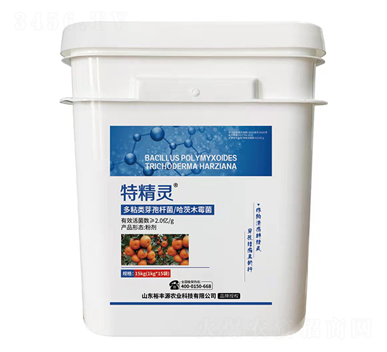 ��ճ�ѿ�ߗU��������ľù��-�ؾ��`-ԣ�SԴ