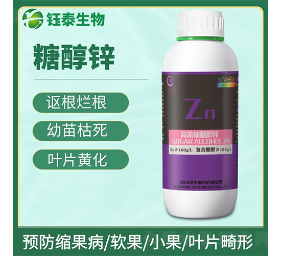 �ߝ�s�Ǵ��\-�̩����