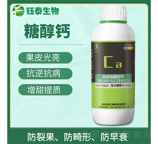 �Ǵ��}-�̩����