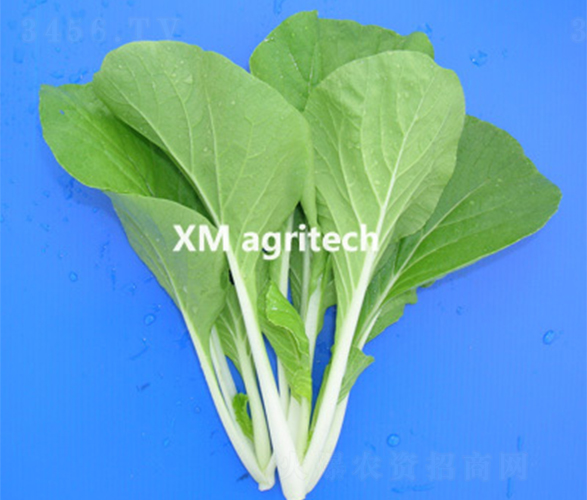 ����С�ײ�-С�ײ˷N��-���r(n��ng)�r(n��ng)�I(y��)