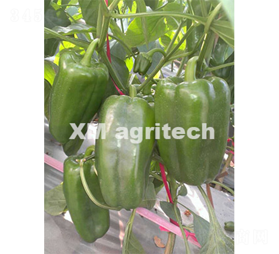 ��(m��ng)¶-�����N��-���r(n��ng)�r(n��ng)�I(y��)