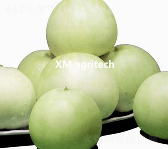 ������-��ϷN��-���r(n��ng)�r(n��ng)�I(y��)