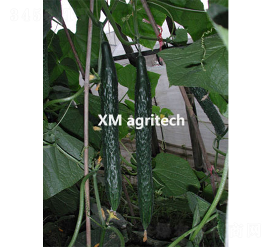 �G��-�S�ϷN��-���r(n��ng)�r(n��ng)�I(y��)