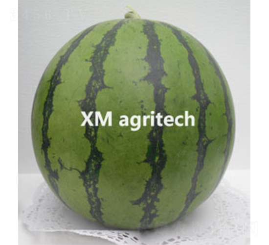 �L(f��ng)��-���ϷN��-���r(n��ng)�r(n��ng)�I(y��)