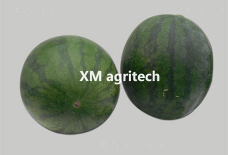 ����(j��)�o(w��)��-���ϷN��-���r(n��ng)�r(n��ng)�I(y��)