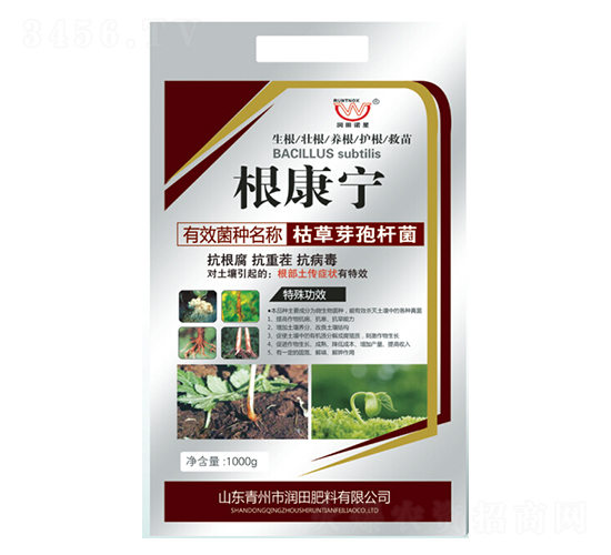 �ݲ�ѿ�ߗU��-������-�������