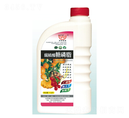 ��ֲ������֬-�������