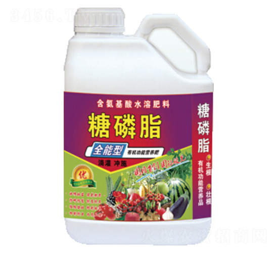 ����֬-�������