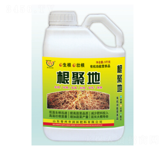 ����(j��)�؛_ʩ��-�������