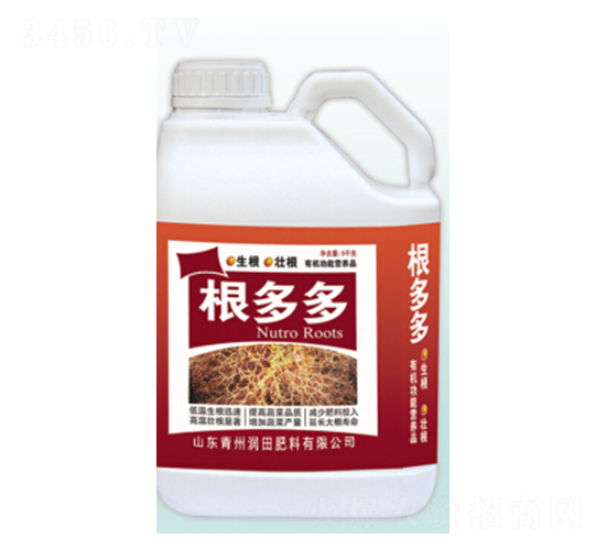 ������_ʩ��-�������