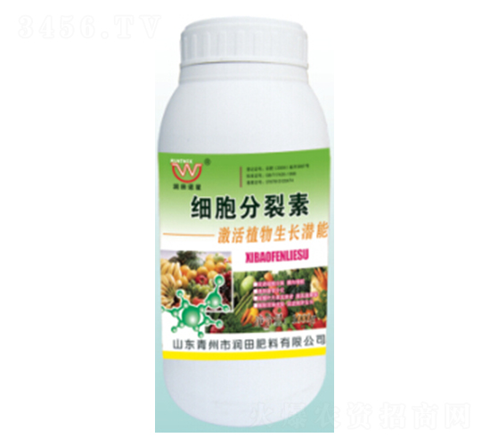 ƿ�b��(x��)��������-�������