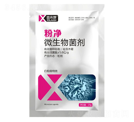 ΢�������-�ۃ�-ϲ����