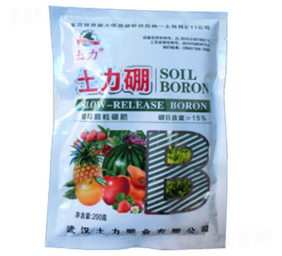 ������-�����ʘI(y��)