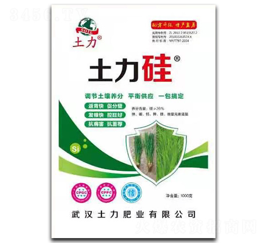 ������-�����ʘI(y��)