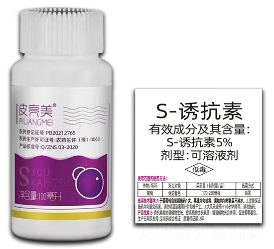 Ƥ����-S-�T����-�r�_����