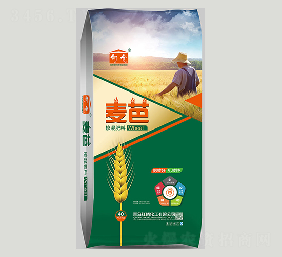 �������-����-�t�׻���