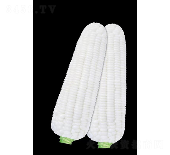 ��ճ7̖-���׷N��-���S�N�I(y��)