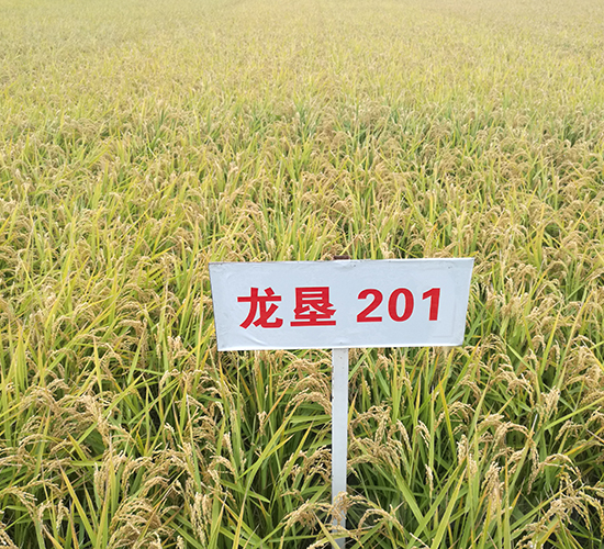 ����201-ˮ���N��-���S�N�I(y��)