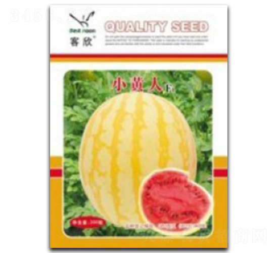 С�S��-���ϷN��-�_(t��i)���r(n��ng)�Y