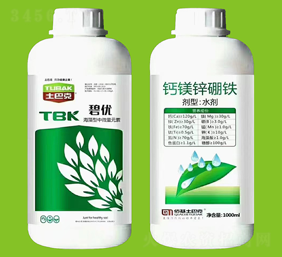 �}�V�\���F-�̃�(y��u)-���Ϳ�