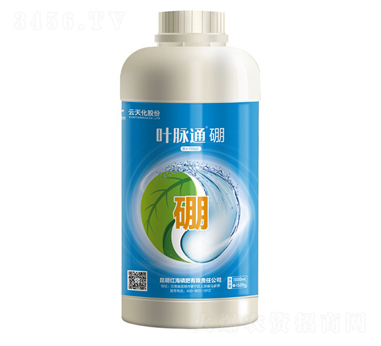 �~�}ͨ����-���컯