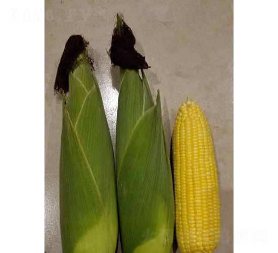 ����28-���׷N��-�r���N��