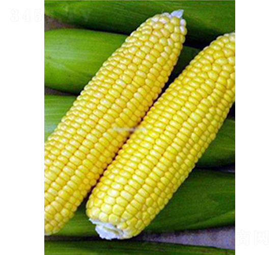 ��������-���׷N��-�r���N��