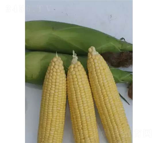 ������818-���׷N��-�r���N��